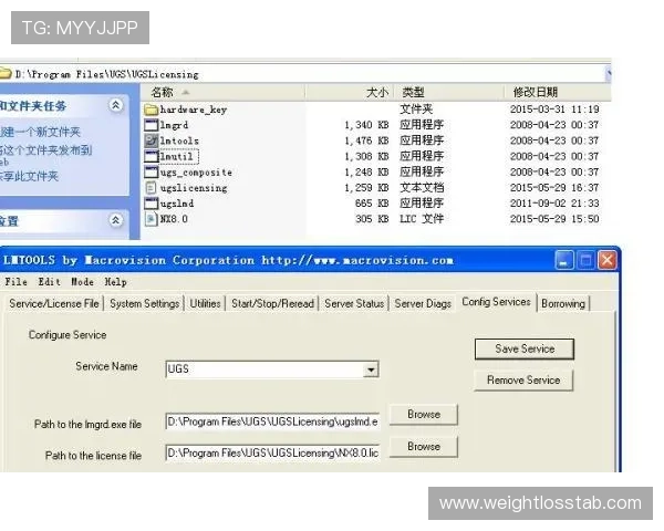 如何注册并登录tt俱乐部官网,详细步骤指南让你轻松开启会员之旅